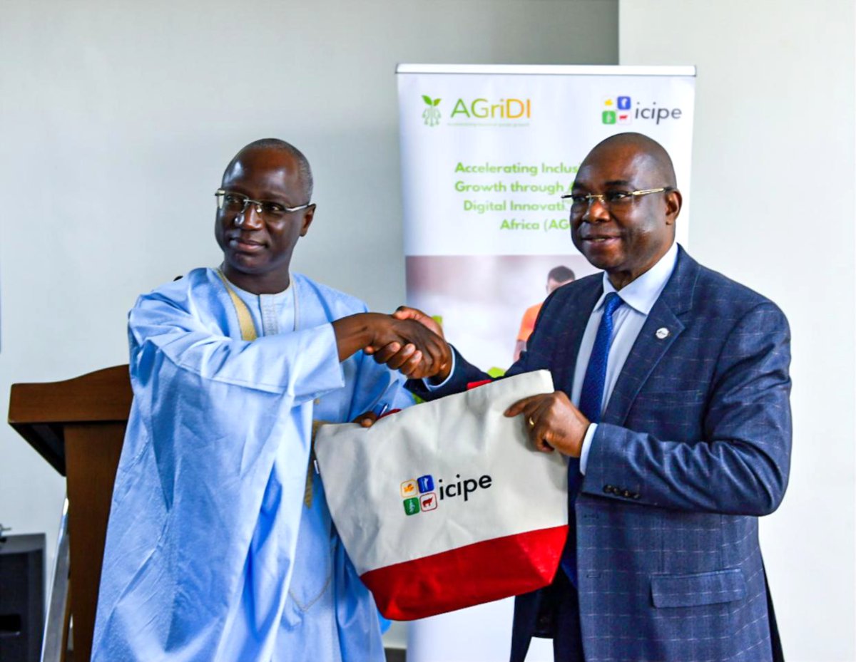 PasetRsif's tweet photo. 🌍 Day 1 of the #AGriDI Close-Out Workshop in Dakar! Experts from across ECOWAS explore #DigitalAgriculture for green growth. 💬 Themes align with #AFS2025: Collaboration, Innovation & Food Systems Transformation. @icipe #AGriDI #GreenGrowth #AgInnovation #CORAF https://t.co/eSuBMsrRJ7