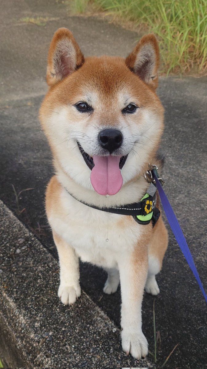 かわいいがすぎる🤍