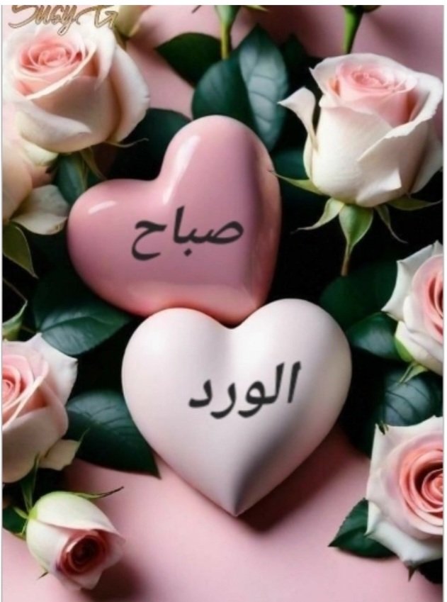 شاكر الكمار tweet media