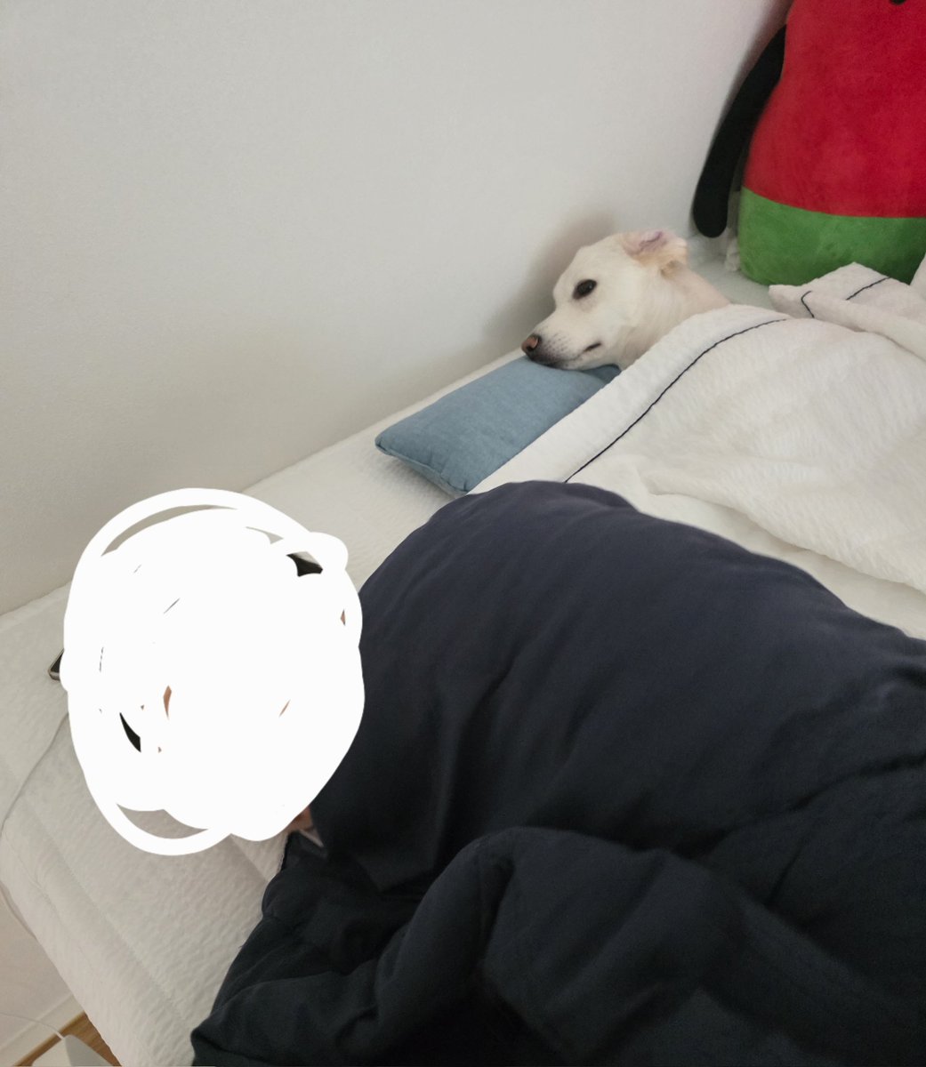 진자 웃기다 얘