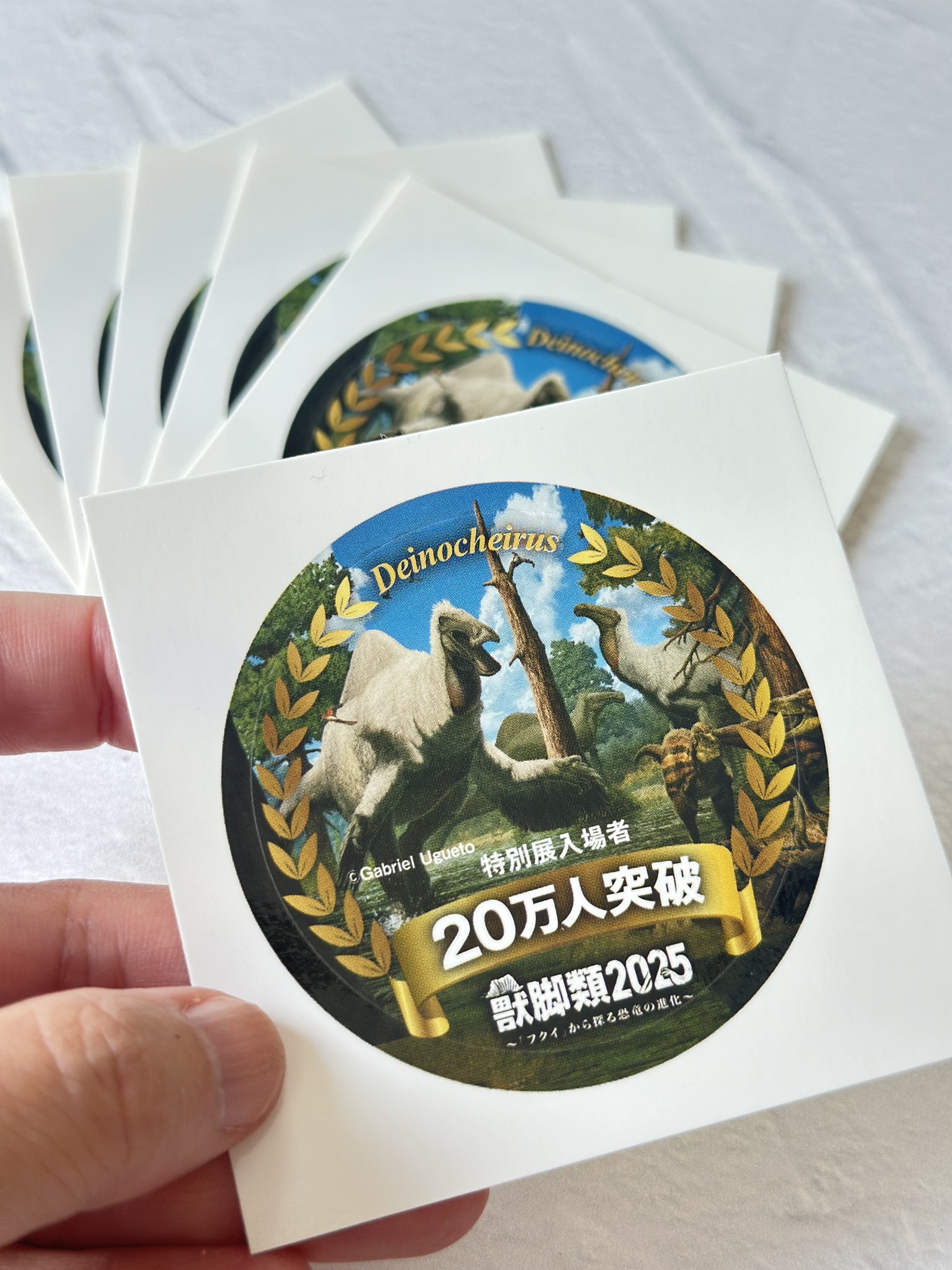 もふもふページ BAPE X KIDSUPER 】PATCHWORK TRACK JACKET | bape.com