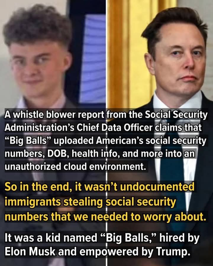 His balls are about as big as a needle point_ the little fcker_