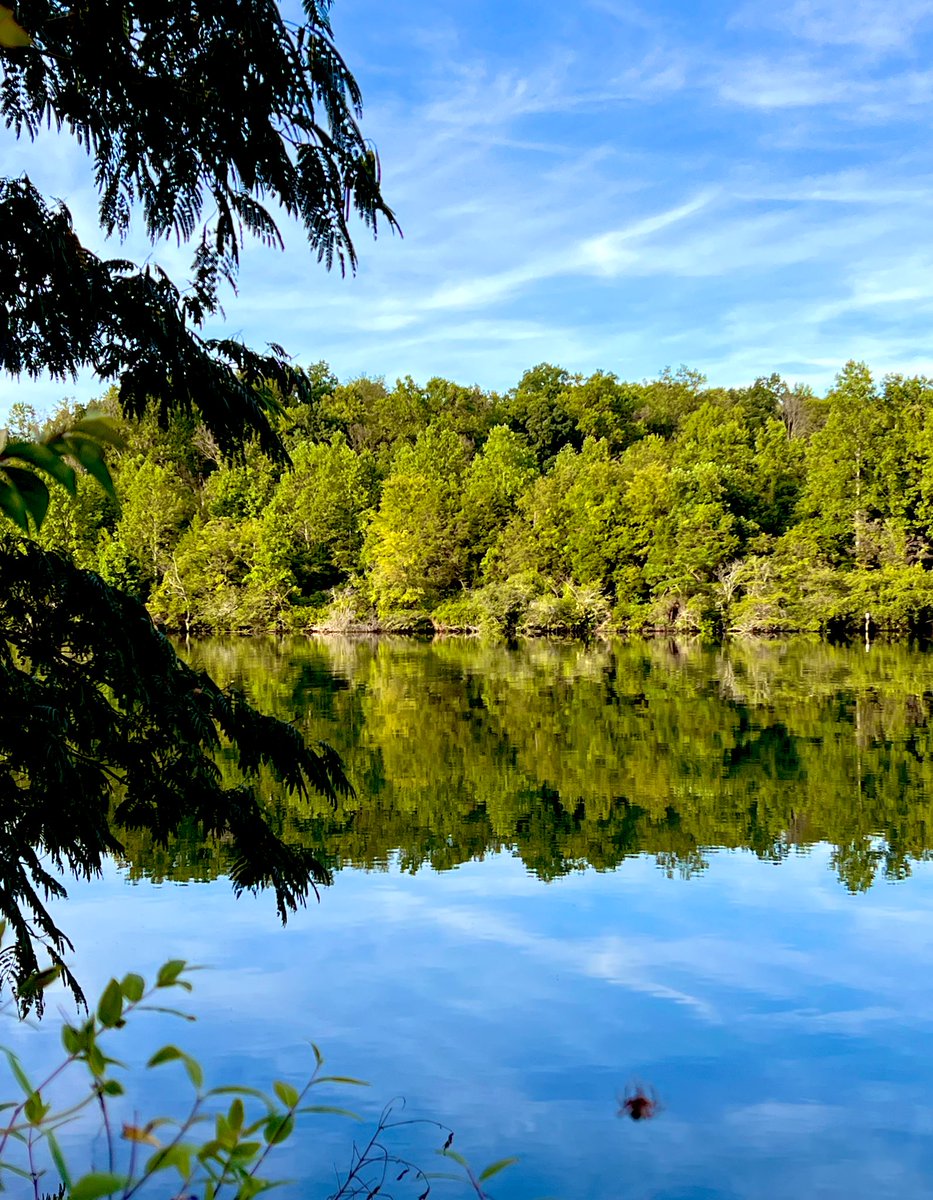 Been a while but just had to go for a walk down by Melon Hill Lake. Weather was perfect with just a hint of autumn! 🍁