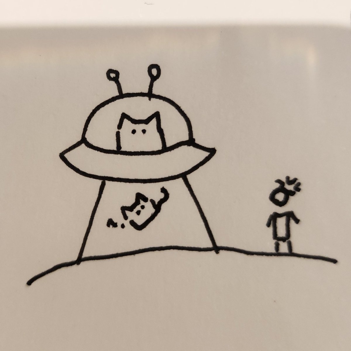 생존 신고에요
살아있었어요