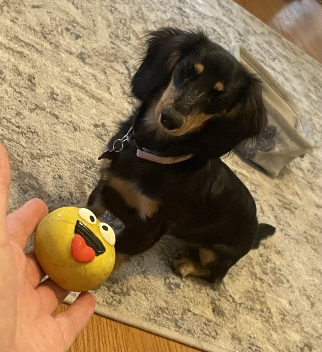 db_persoectives's tweet image. Time to play ball!