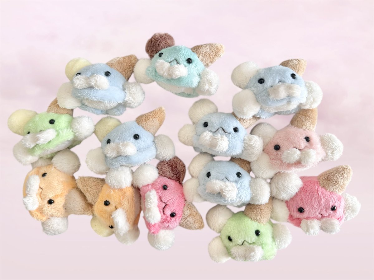 ⭐︎♩｡* news ♩｡*⭐︎

안녕하세요! stewpot은 스튜같은 따뜻한 솜인형들의 집입니다. 앞으로 여러분의 멋진 친구가 될 수 있기를 바라봅니다 ♩｡*

잠시 후 오후 5시, HBHB샵(<a href="/hbhbnote/">✩ HBHB ✩</a>) 의 주문 페이지에서 첫 주문 정보를 확인해 주세요 ✨

↓↓↓
m.blog.naver.com/hagu_mi_