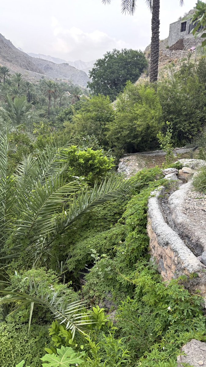 حبيت كل شي في عمان ❤️