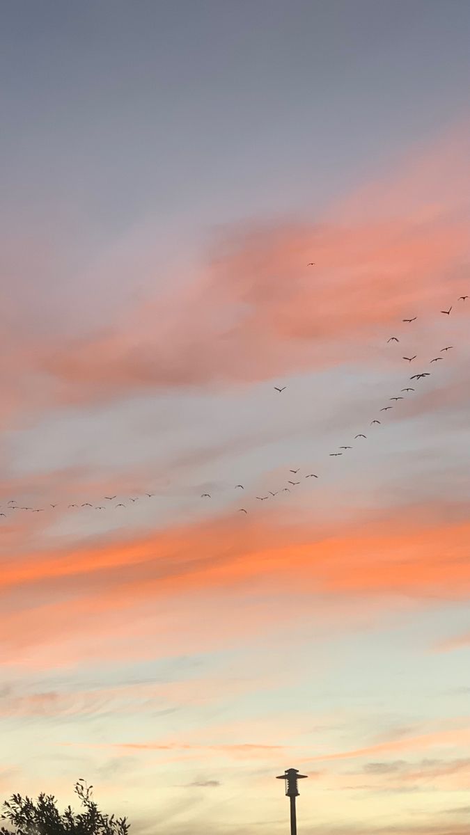 Wishing you a day as beautiful as your smile 😊 

Good morning