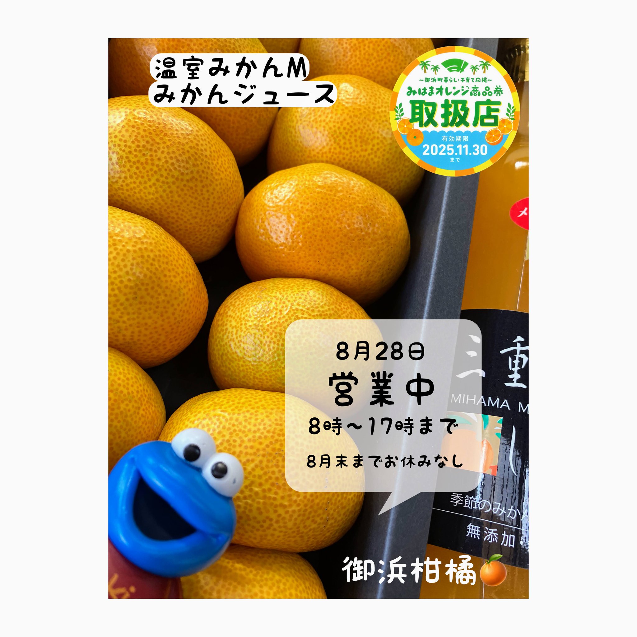 おみかん。さん専用 株)クリエイト伊方 みかんジュース のんでみてや 1L×6本 お