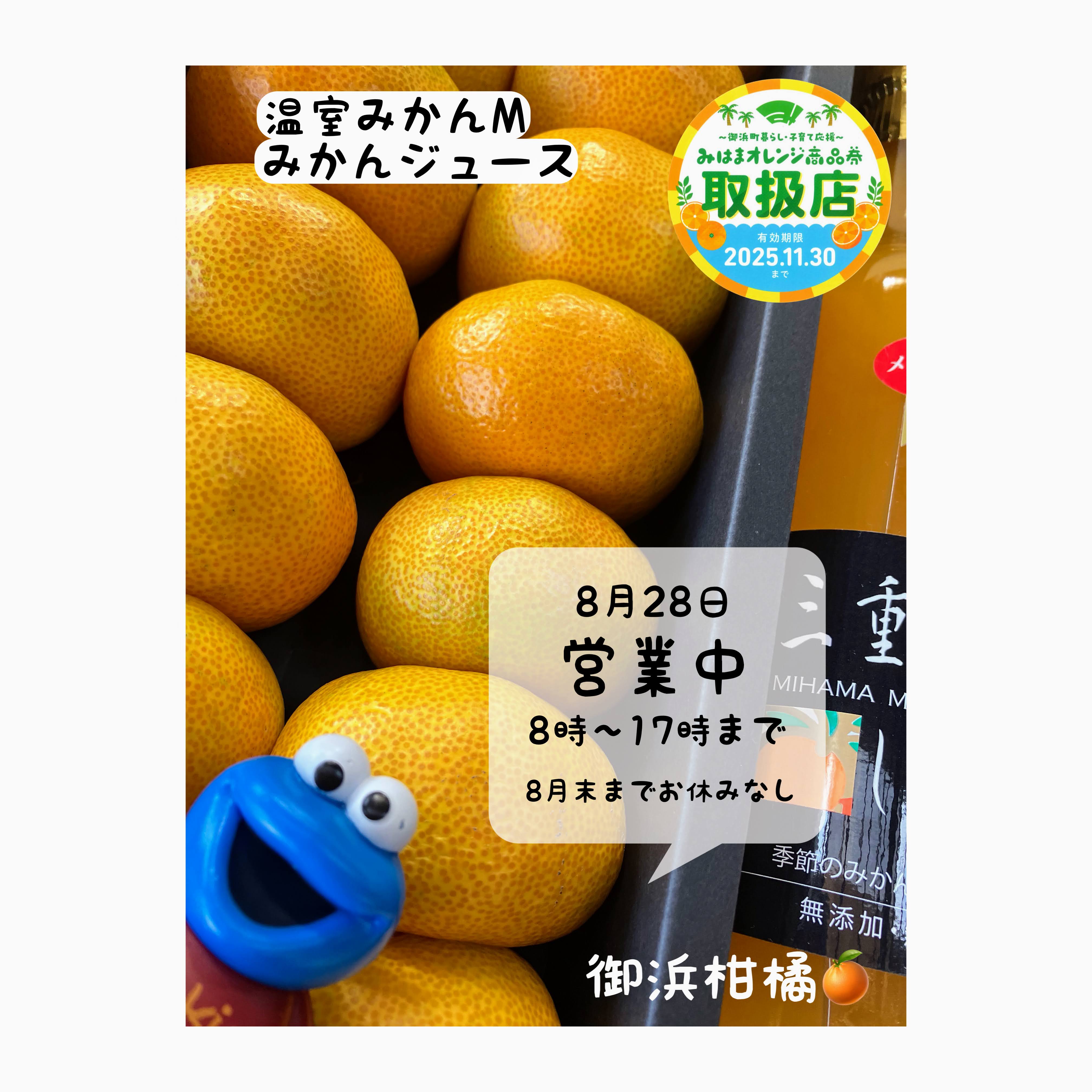 こだわりみかん”の御浜柑橘 on X: 