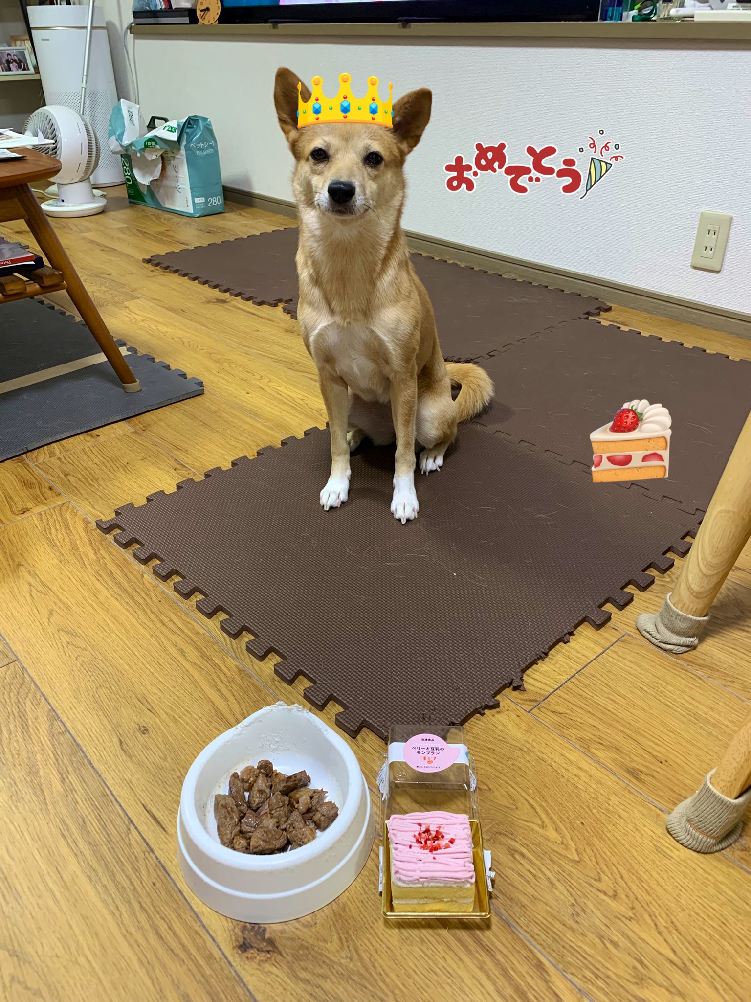 犬と親子/TWO GOOD FRIENDS 額入り　リトグラフ This is the large dog that has started to feel happy being