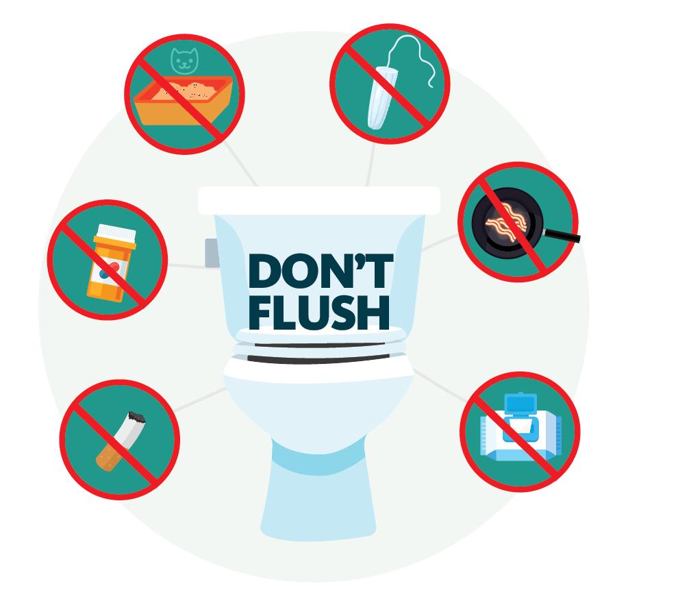 If there is one thing to remember, it is the three P’s – Pee, Poop, and Paper. Those are the only things that should go in the toilet, enter your plumbing and out to our sewer system.