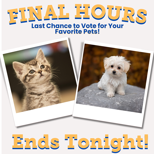 🚨 FINAL HOURS! ⁠
Voting ends TONIGHT at 10PM in the 2026 Friends of PACC Pet Calendar Contest! Vote now! 
gogophotocontest.com/fopcalendar⁠
Brought to you by Central Pet, Pima Air &amp; Space Museum, Tucson Electric Power, and C Eaton Photography.⁠ ⁠

#PetCalendar