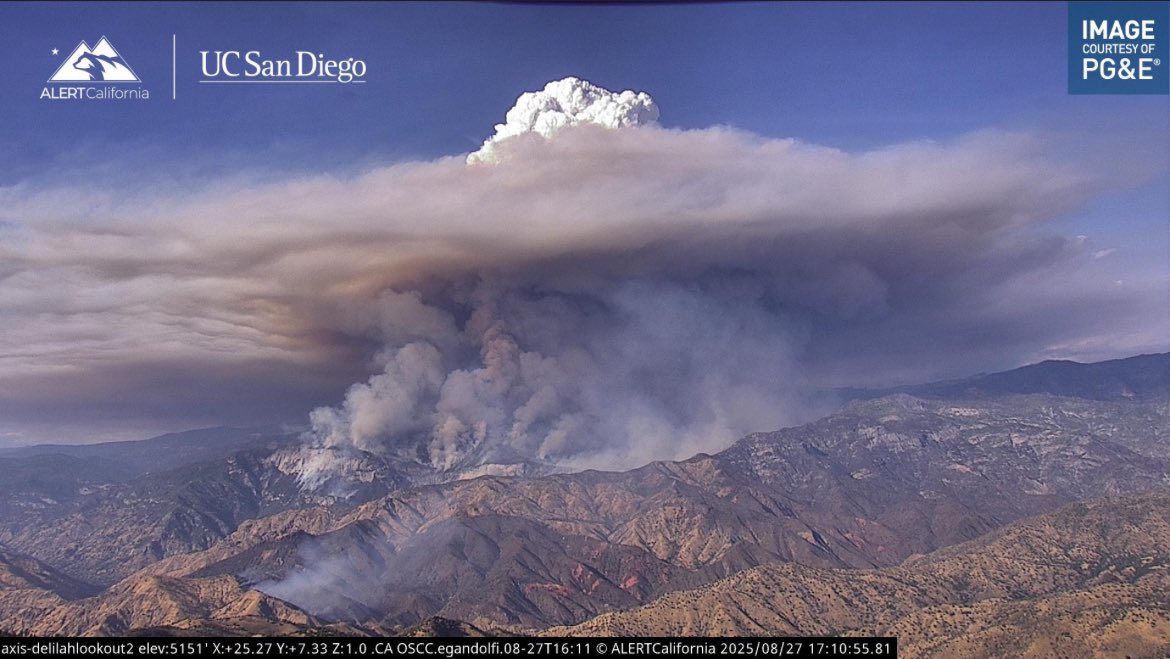 If you’re wondering why the #GarnetFire is getting so huge, here’s part of the reason.

The Sierra NF is a MESS, this is what the unburned portion looks like, no fire history in the last 100 years! Drought and Bark beetle have also plagued this area creating a mess of dead fuel.