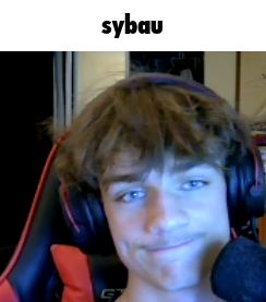 WspDaniel tweet media