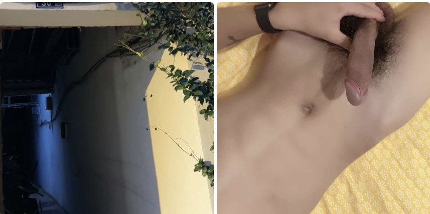 忍者无敌 tweet media