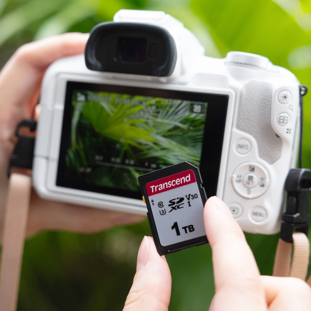 Transcend_KR's tweet image. #DSLR카메라 에 완벽한 호환성을 보장하는
#SDXC/#SDHC 300S #메모리카드

블로그에서 확인하기&amp;gt;&amp;gt;&amp;gt;blog.naver.com/transcend_kr/2…