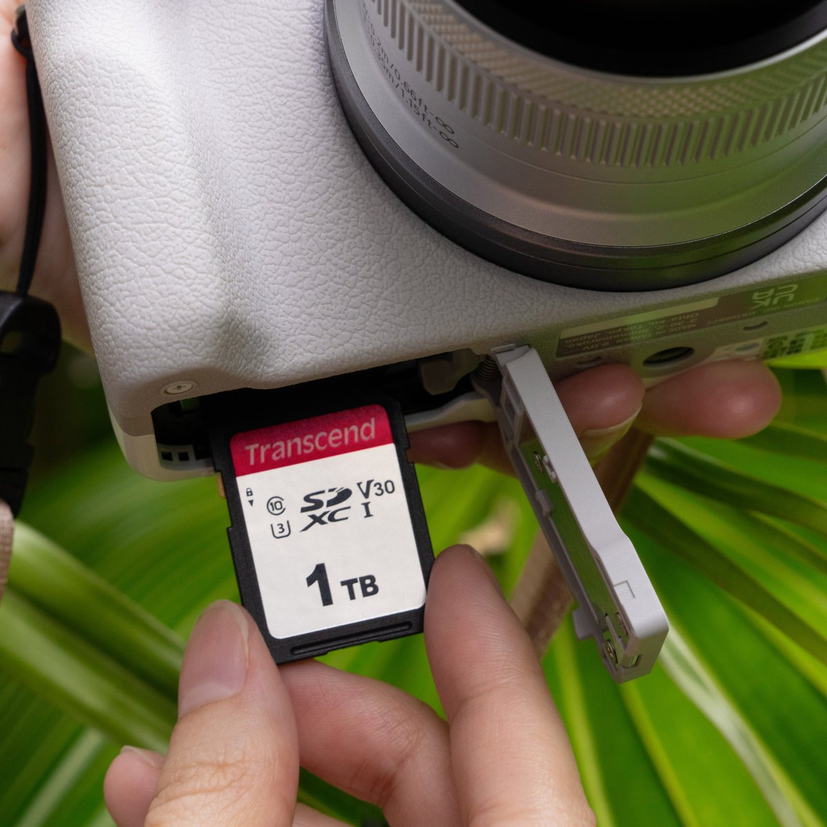 Transcend_KR's tweet image. #DSLR카메라 에 완벽한 호환성을 보장하는
#SDXC/#SDHC 300S #메모리카드

블로그에서 확인하기&amp;gt;&amp;gt;&amp;gt;blog.naver.com/transcend_kr/2…