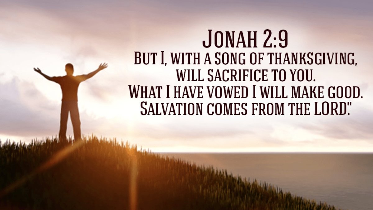 DarrellKoop's tweet image. 