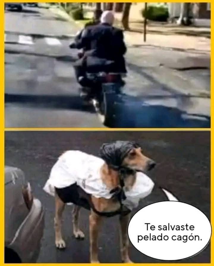 Lucho Peroncho (@luisalb39796340) on Twitter photo 