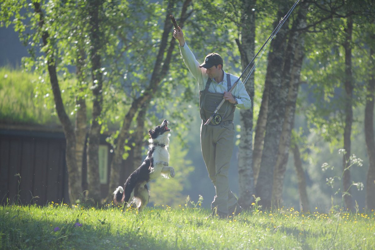 Keep Fish Wet tweet media