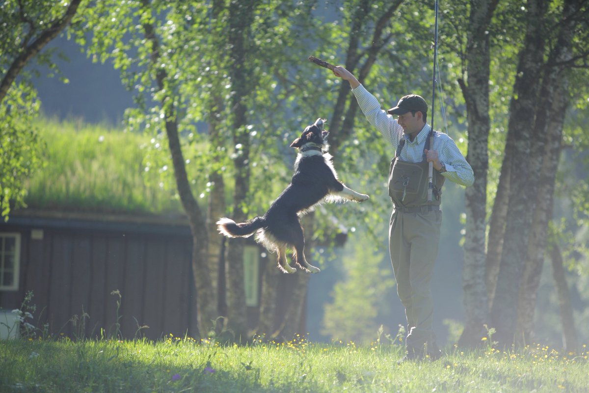 Keep Fish Wet tweet media