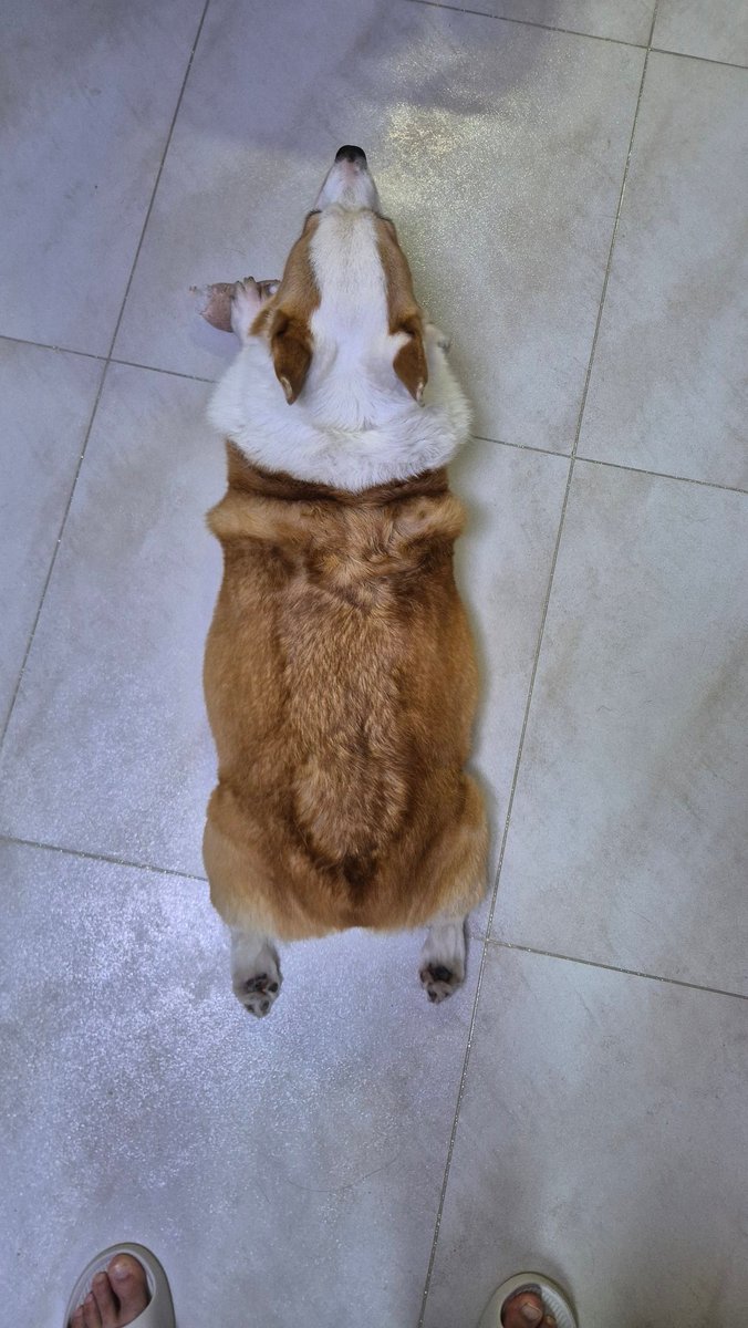 저희 오늘 안산 별밤갑니다~!! 
오랜만에 장모님께 애들 맡기고 정줄놓고 노는날이랍니다ㅋ
같이 노실분~~!!!