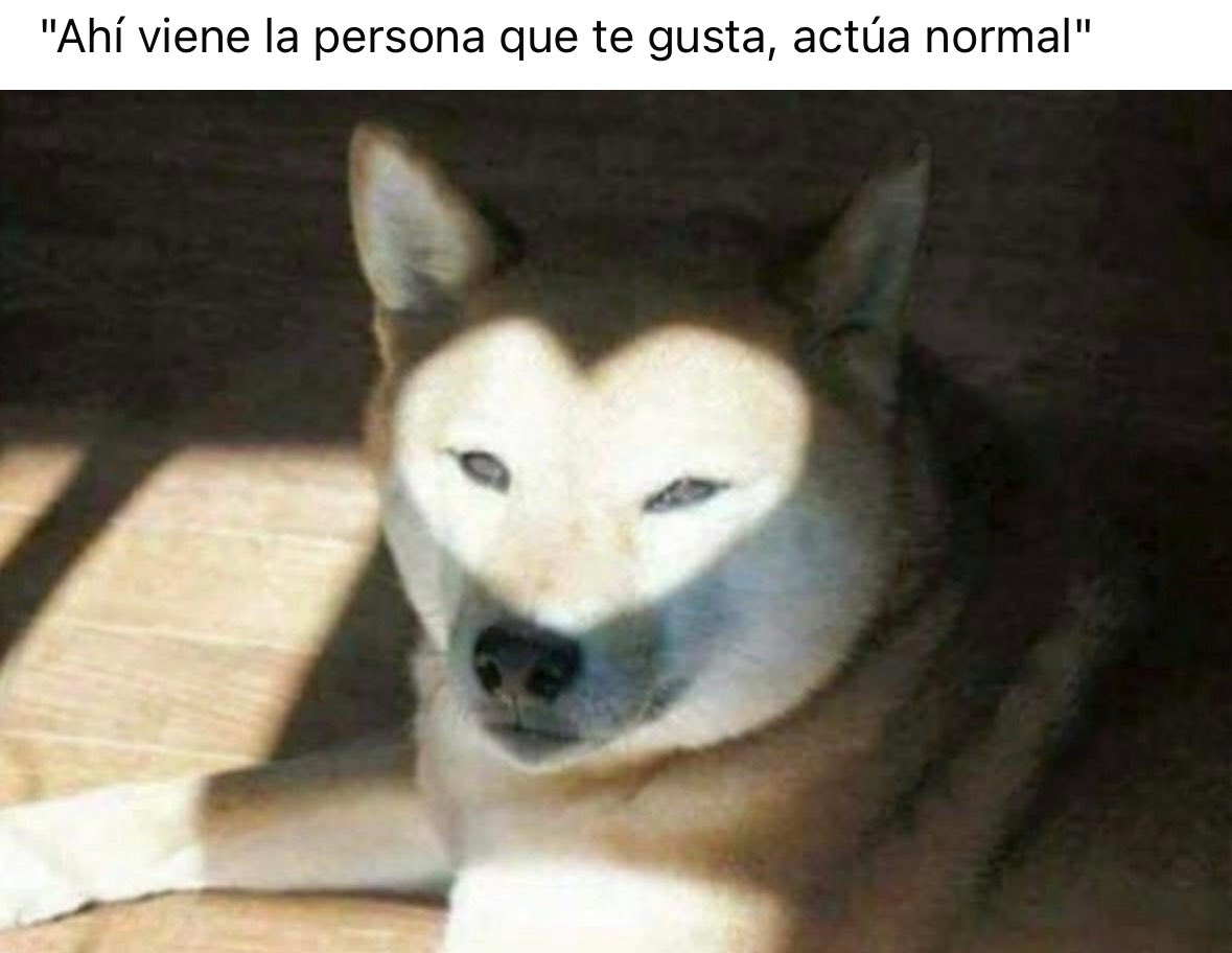 Y los MIPS apoyándome en mi locura 😂❤️