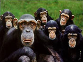 Los chairos en este momento viendo a alito del PRI!😂😂😂