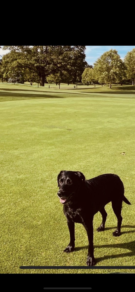 M Crawford tweet media