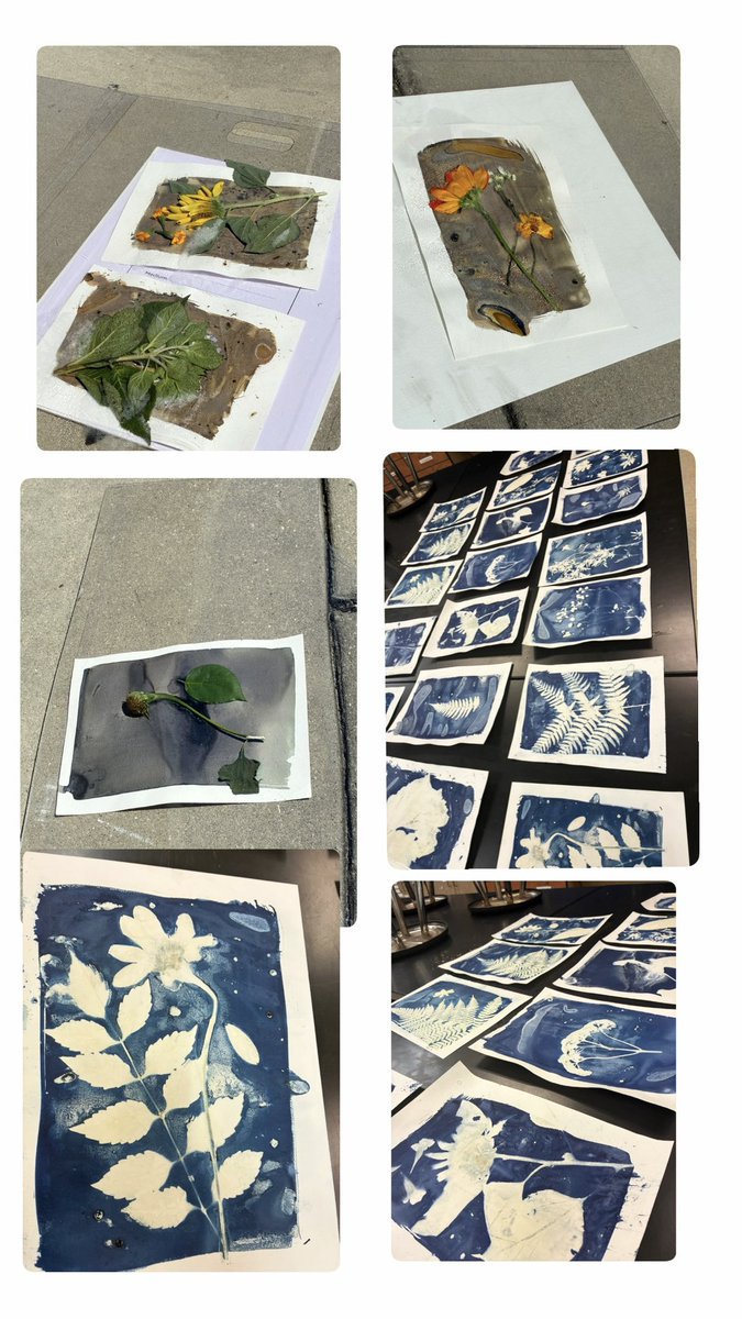 Mr. Green, our amazing art teacher, always brings creativity to life! This week, he brought flowers from his own garden for students to create beautiful sun art. The final pieces were stunning!