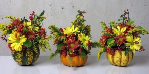 FluxingWell's tweet image. Nothing says autumn charm quite like pumpkin centerpieces with flowers. They’re the perfect mix of seasonal style and natural beauty. Get the easy steps to make your own! fluxingwell.com/pumpkin-center… #floralpumpkincenterpiece #pumpkins #dahlias #gardeners #gardening #summerintofall
