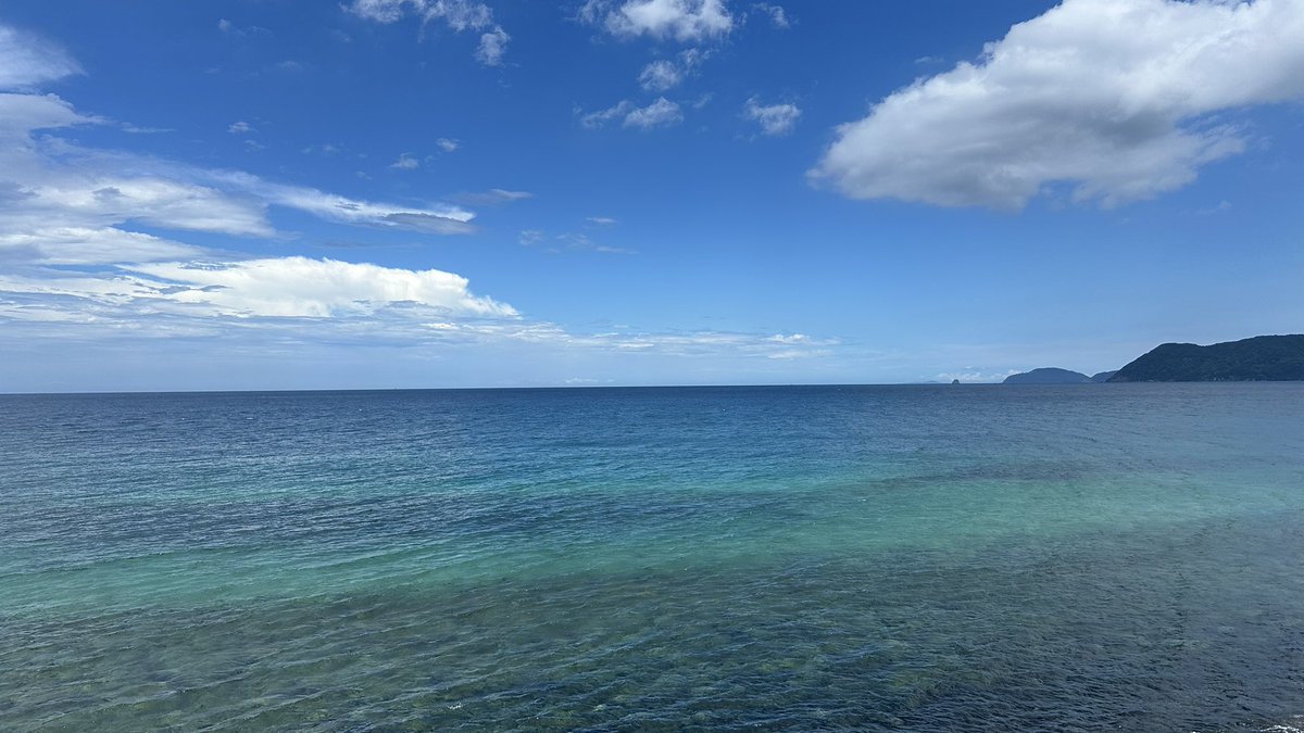 ta___yamaton's tweet photo. 福岡とっても良かった
#日常垢 https://t.co/chePeHiWVs