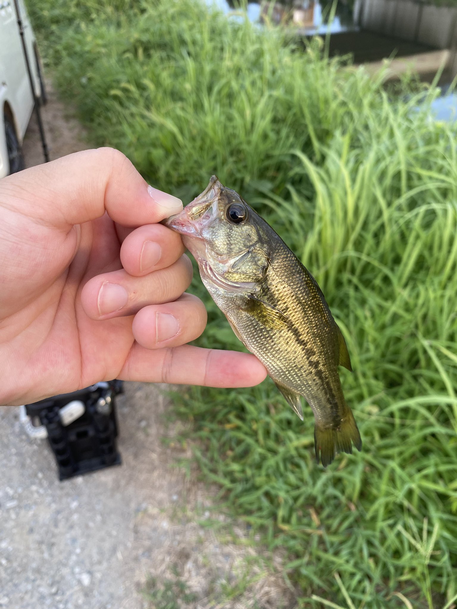 TAK🎣 (@fishman6655) / X