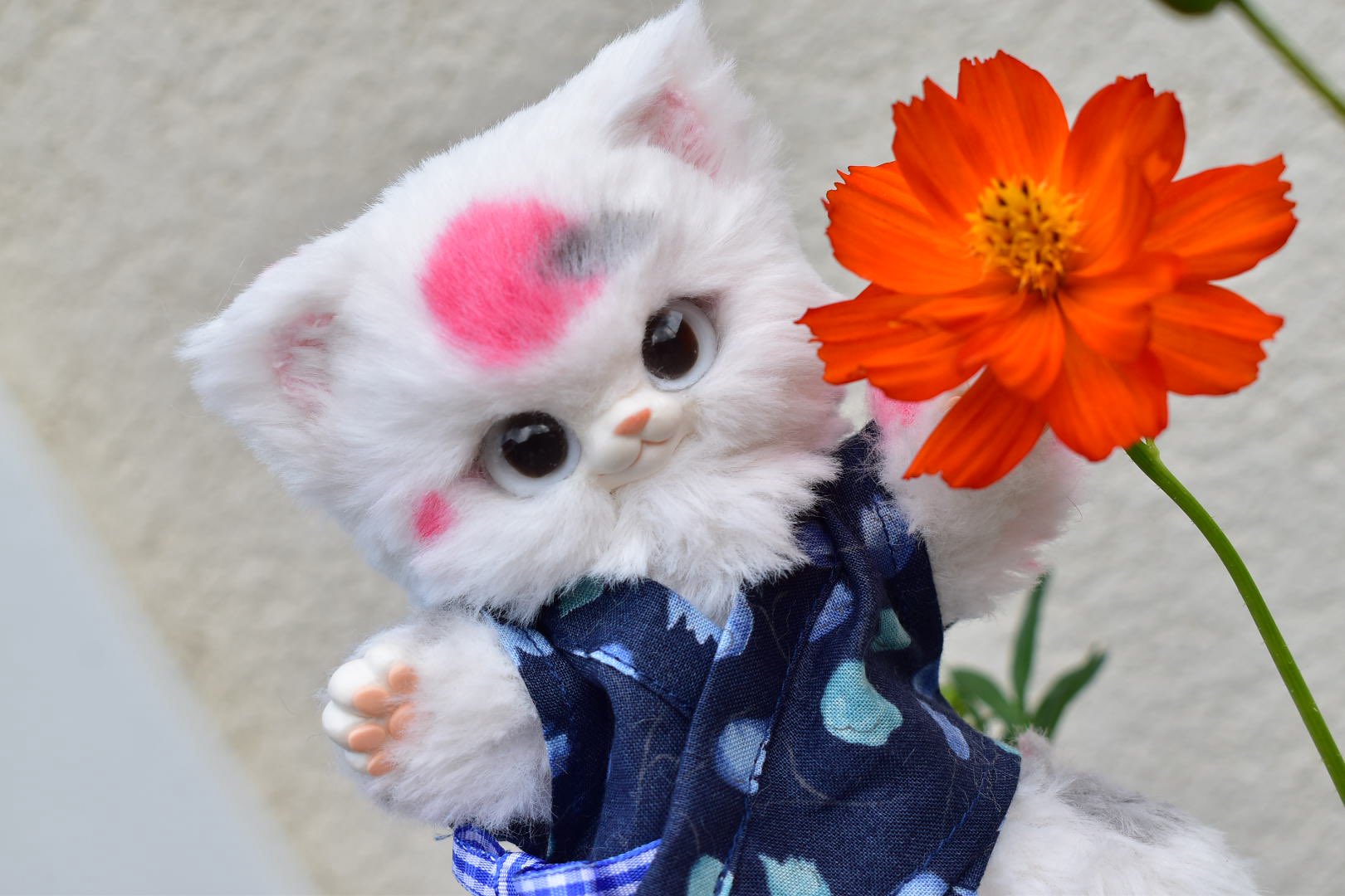Ωぽたぽた工房Ω 叶星(かないぼし) 天の川×狐 ハンドメイド アートドール Ωぽたぽた工房Ω 叶星(かないぼし) 天の川×狐 ハンドメイド