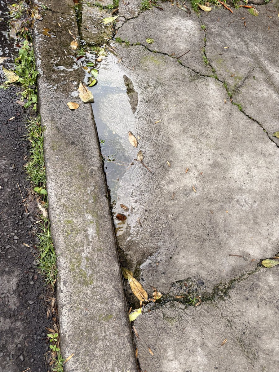 iNeudert's tweet photo. buena tarde, en Tlalcoligia - Tlalpan ya se reportó una fuga a causa de la raíz de un árbol. AYUDA NO HAN VENIDO. @TlalpanAl @CESACT @SEGIAGUA https://t.co/p3IL1cCbYk