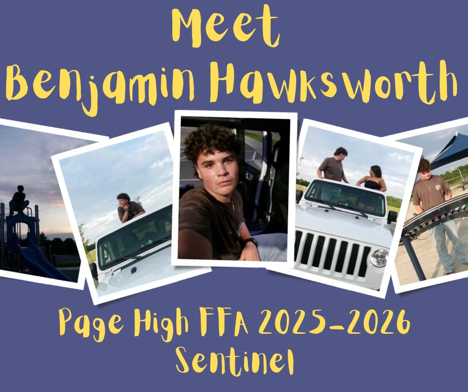 Page High FFA tweet media