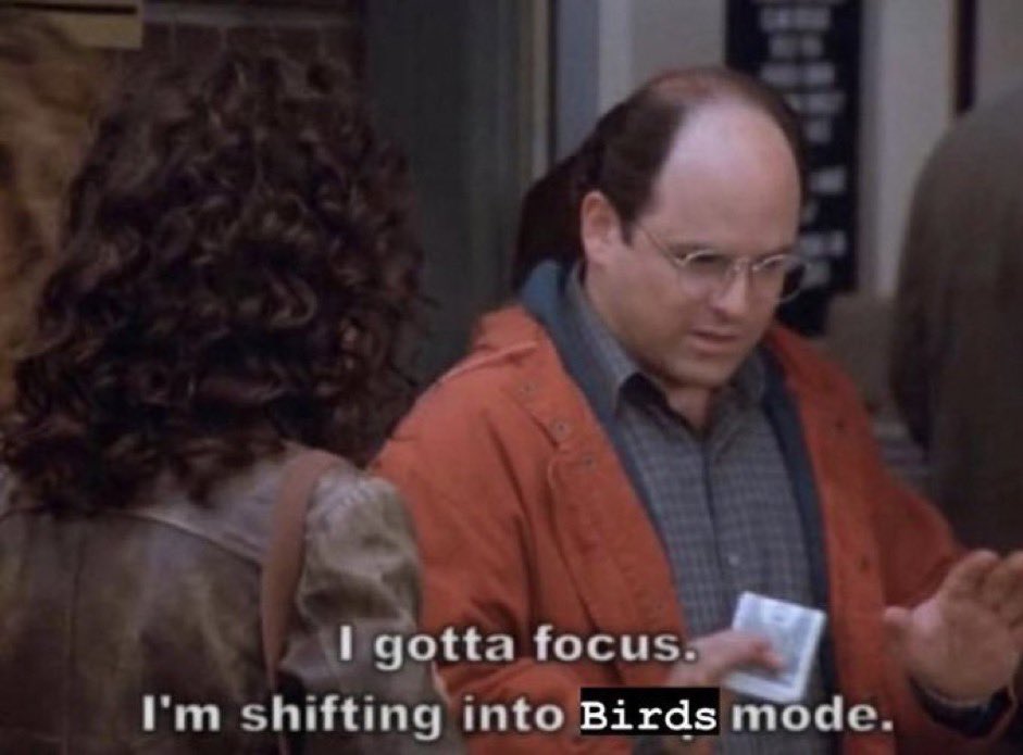 one dozen rats at a keyboard (@panasonicdx4500) on Twitter photo 