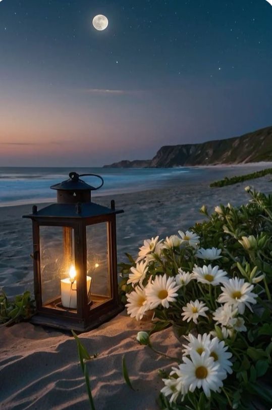 Good Night
Feel the peace of the night with all your heart.
Relax and have a good night rest.
Sweet Dreams..🌟✨💐