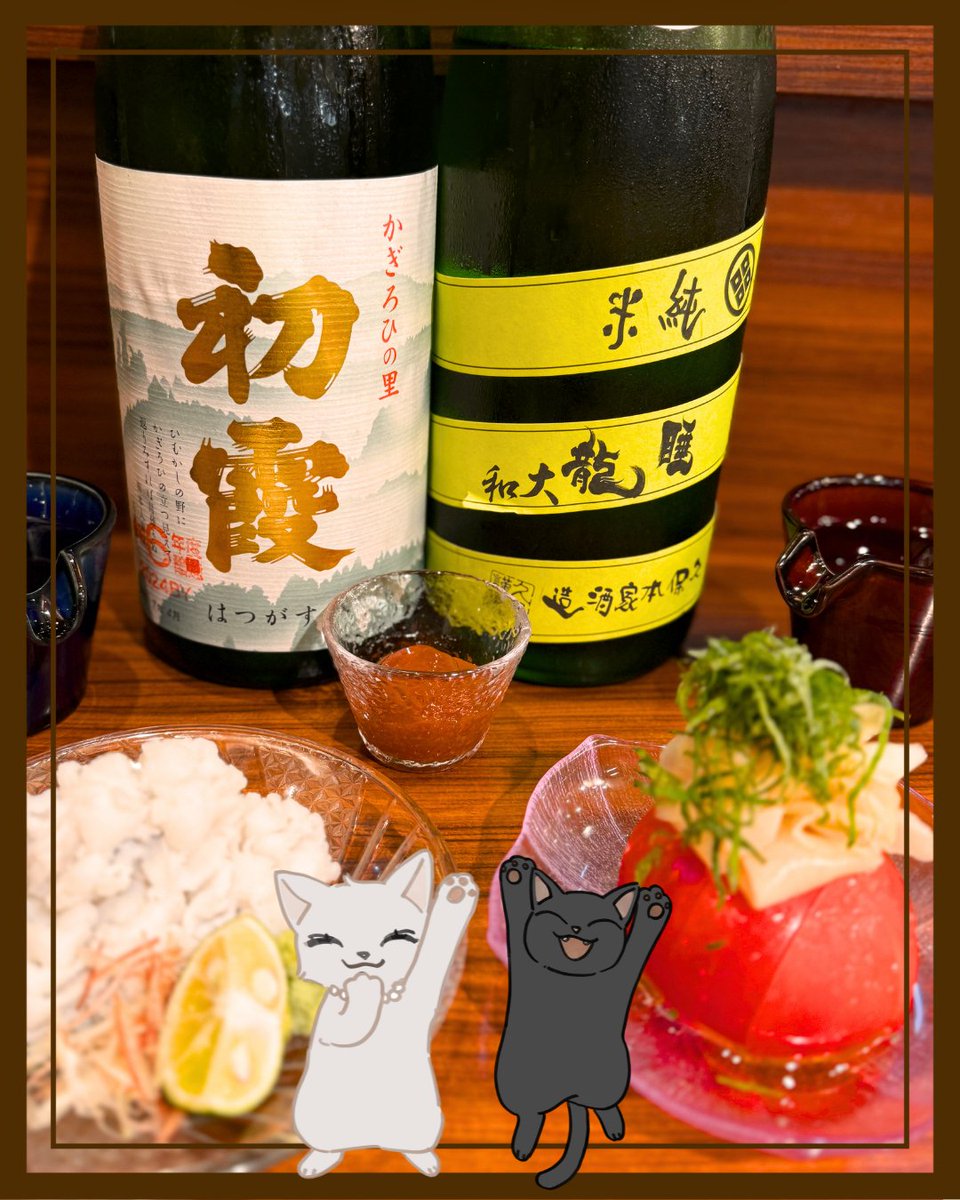 【なんばん】 numbuzin ナンバーズイン 4番 ぷるんとコラーゲン73％セラム 50ml 三永