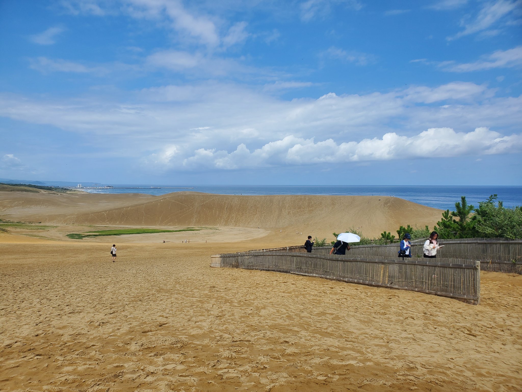 【リトグラフ】アーネスト・R・ノーリング　流木のある太平洋岸北西部の海岸のカモメ リトグラフ】アーネスト・R・ノーリング 流木のある太平洋岸北
