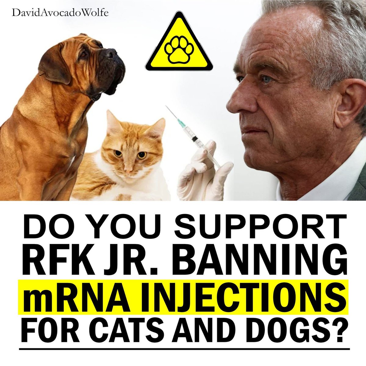 David Wolfe tweet media