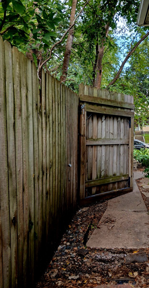 #adoorablethursday #thursgate #thursdayvibes