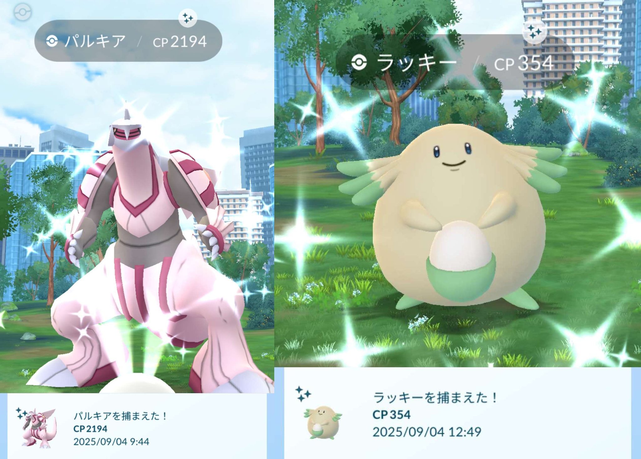 ★ちまき様オーダー専用ページ★ pokemonGO plus ＋ ☆ちまき様オーダー専用ページ☆ pokemonGO plus ＋