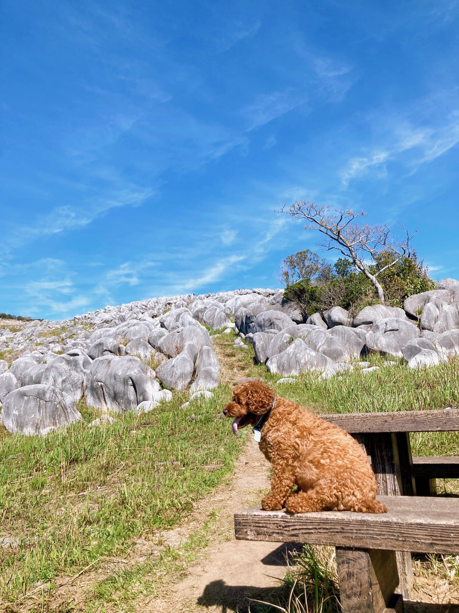 youtu.be/2FxD5JSmRBE?si…

ルーク定位置に付きましたので

お休みなさい🌙🥃♪