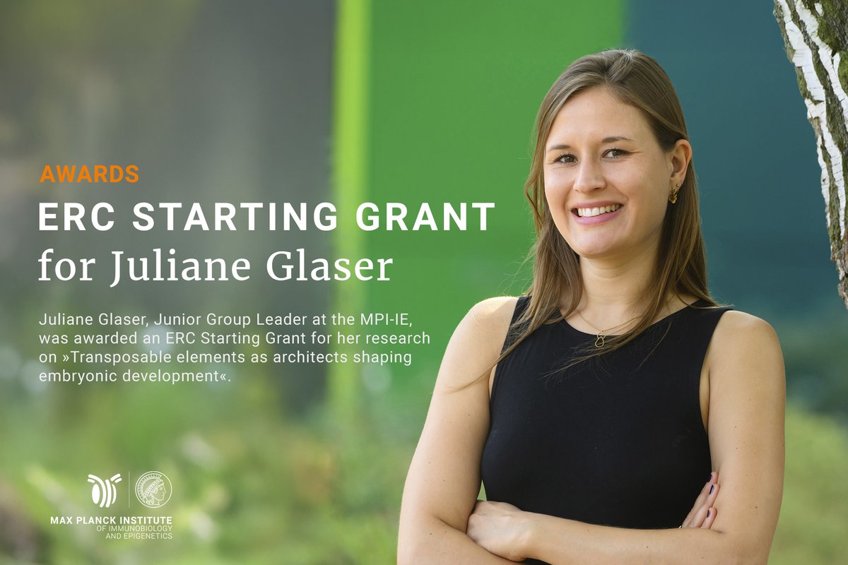 mpi_ie's tweet image. ERC Starting Grant for Juliane Glaser to study role of epigenetic mechanisms, specifically the control of transposable elements, in mammalian embryonic development.  

Read all details here: ie-freiburg.mpg.de/6057908/2025_0…

Congratulations🥳 @GJuliane_ 

@ERC_Research #ERCStG
