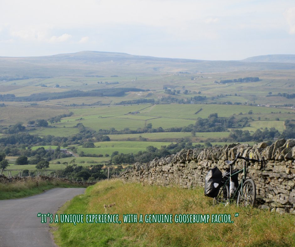 Champing tweet media