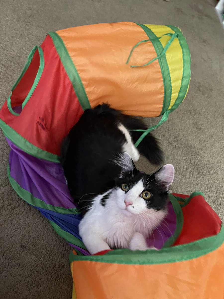 yes this is how a tunnel works good job