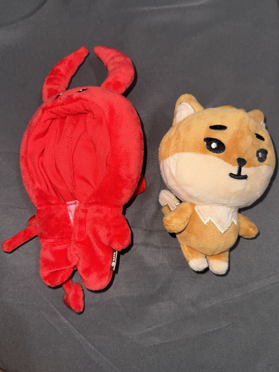 QS HELP RT 

WTS LFB DAY6 DENIMALZ KE 2020

Selling as set = 1800

✅ with box but with dents
✅ with plastic

DM me for more info 

#youngk #sungjin #wonpil #dowoon