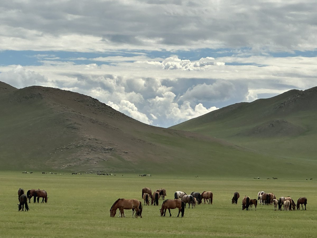 Prof.Ahmet Taşağıl (@proftaal) on Twitter photo 
